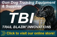 TBI